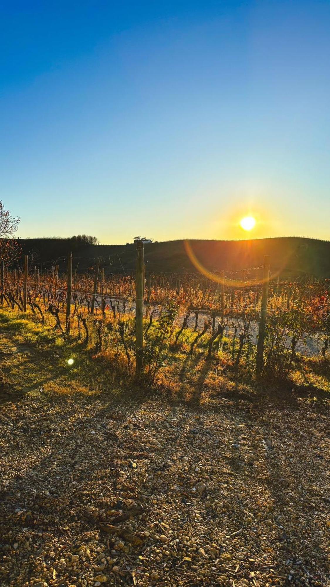 Tenuta Agricola La Cava- Cantina E Agriturismo San Damiano dʼAsti Exterior foto