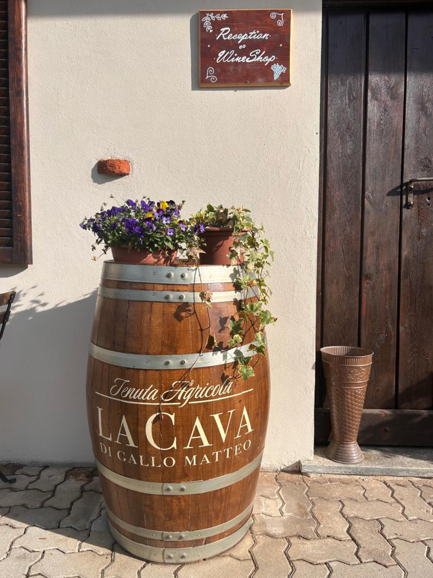 Tenuta Agricola La Cava- Cantina E Agriturismo San Damiano dʼAsti Exterior foto